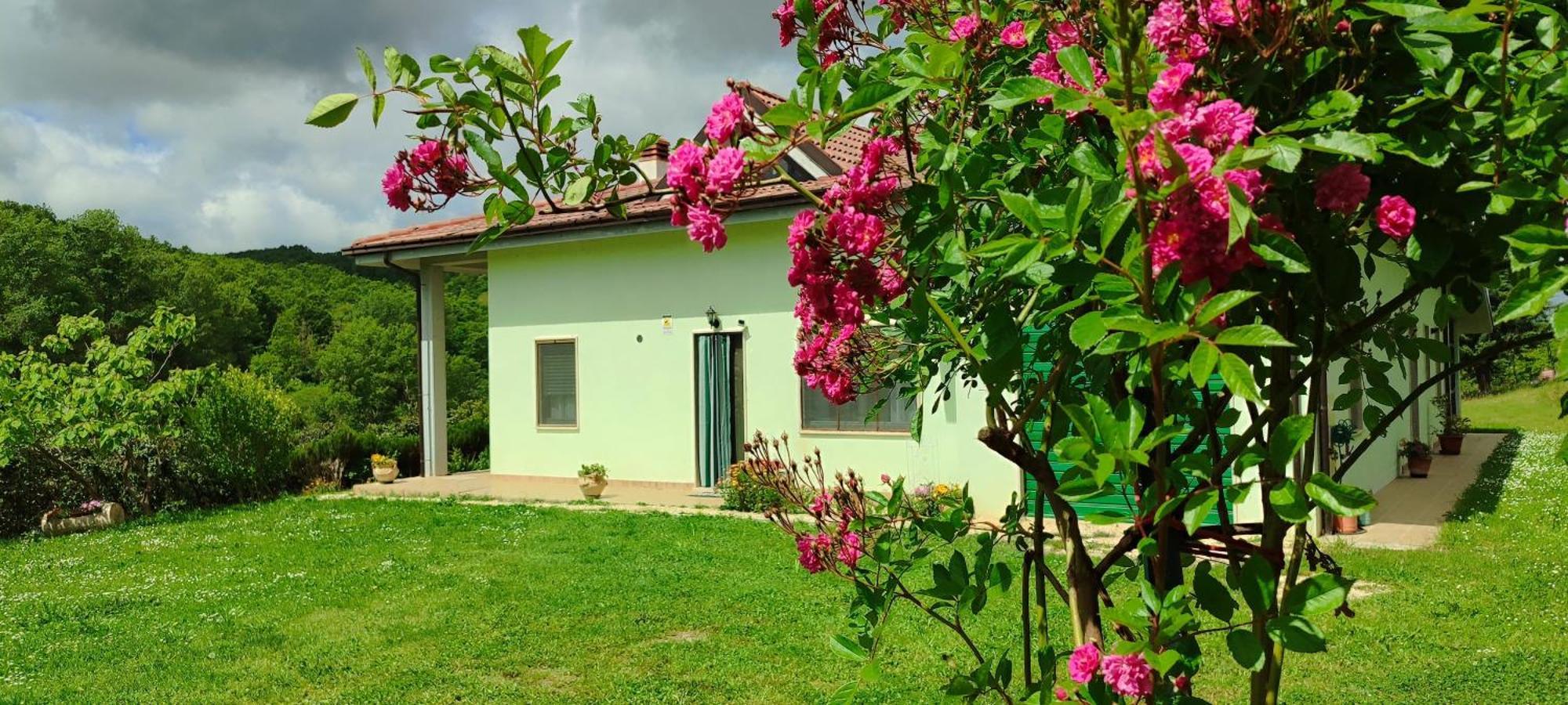 Pia'S House Garden Apartamento Campobasso Exterior foto